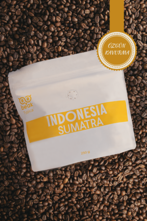 Indonesıa Sumatra Typica Çekirdek Kahve 250 GR